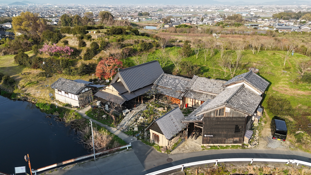 DJI_20250404162625_0008_D_電線